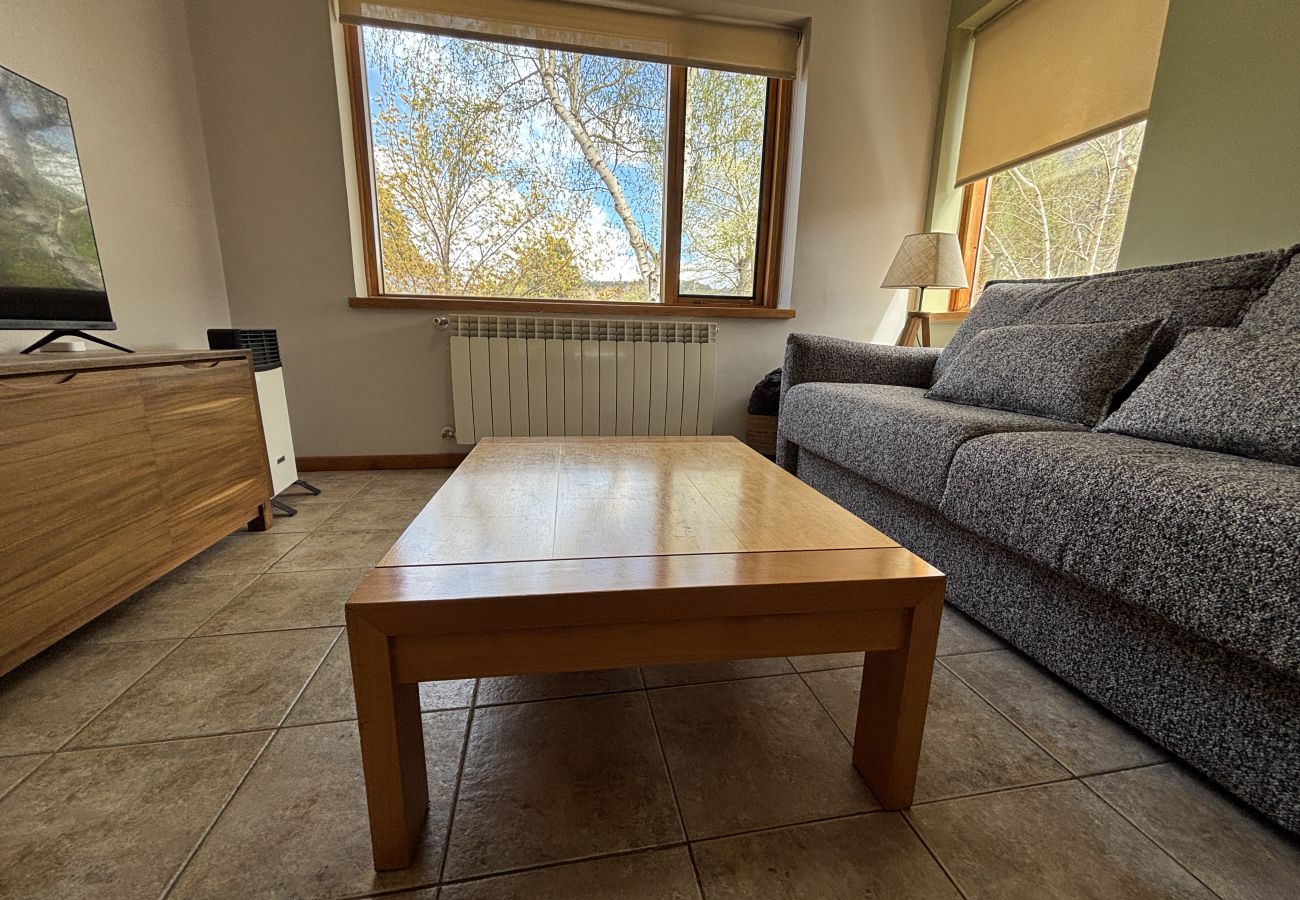 Apartamento en San Martin de los Andes - Golondrinas - Andarlibre