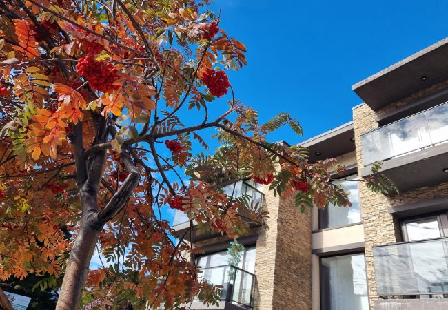 Apartamento en San Martin de los Andes - Vista Norte 4 - Andarlibre Apartamento en San Martin de los Andes - Vista Norte 4 - Andarlibre
