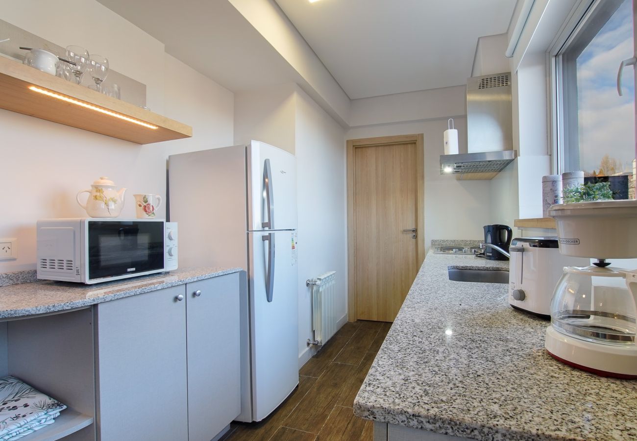 Apartamento en San Carlos de Bariloche - MUTISIA, departamento con terraza y vista al lago