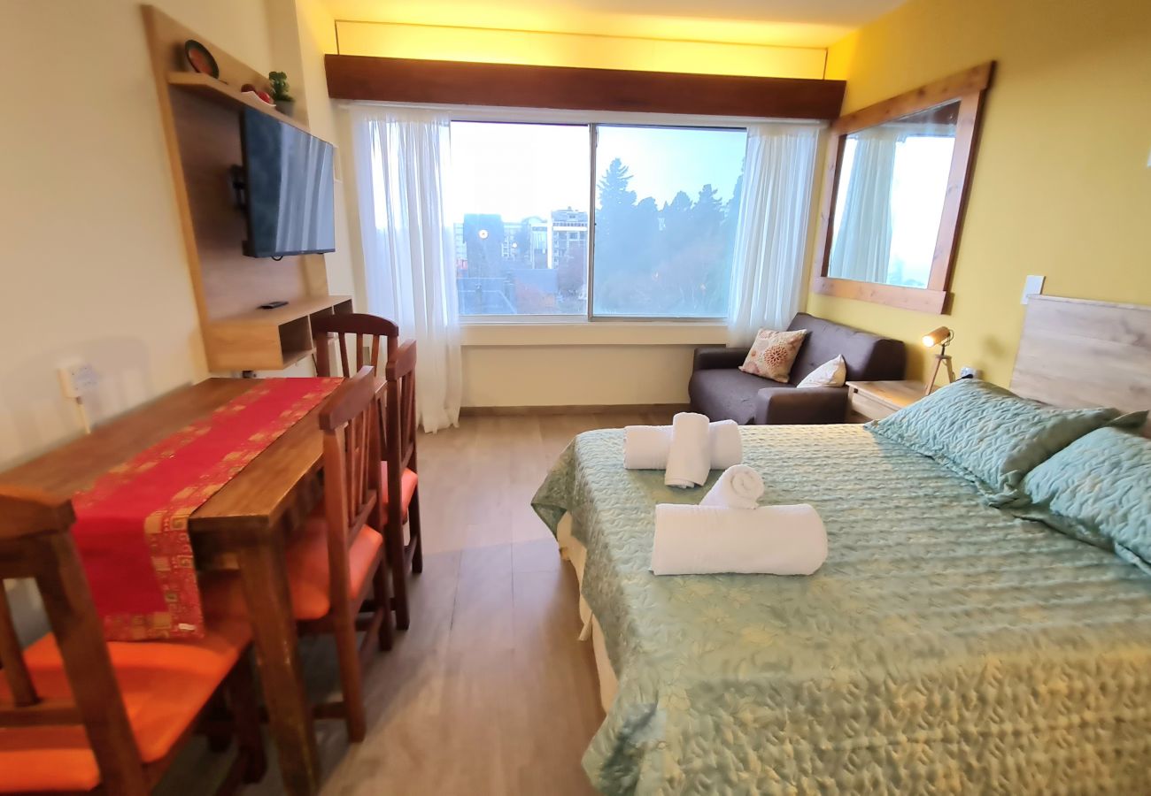 Estudio en San Carlos de Bariloche - Triskel departamento con vista al lago