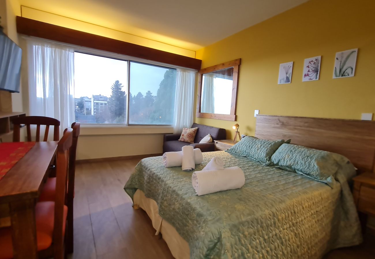 Estudio en San Carlos de Bariloche - Triskel departamento con vista al lago