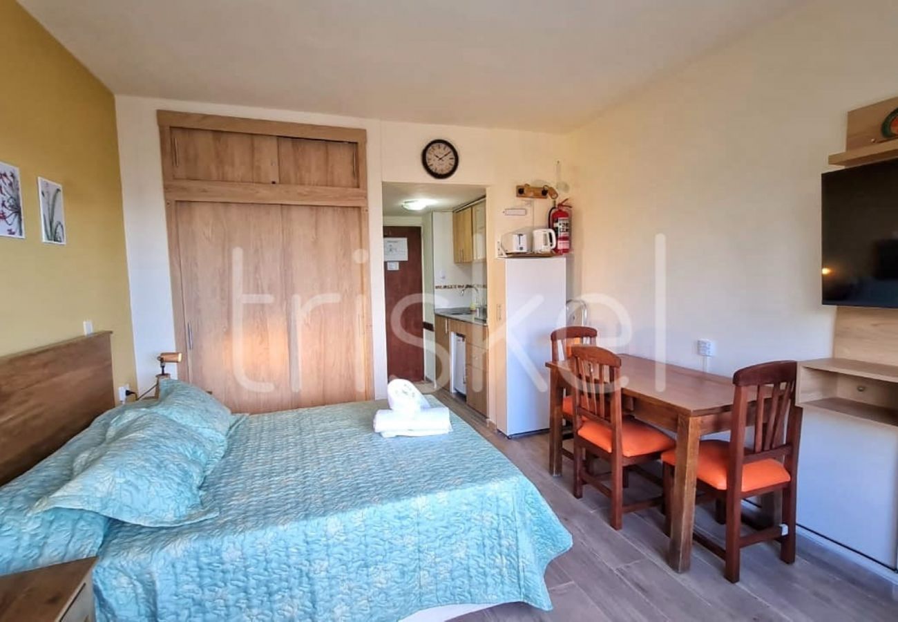 Estudio en San Carlos de Bariloche - Triskel departamento con vista al lago