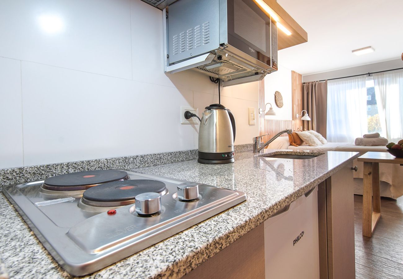 Estudio en San Carlos de Bariloche - ABEDUL departamento en pleno centro