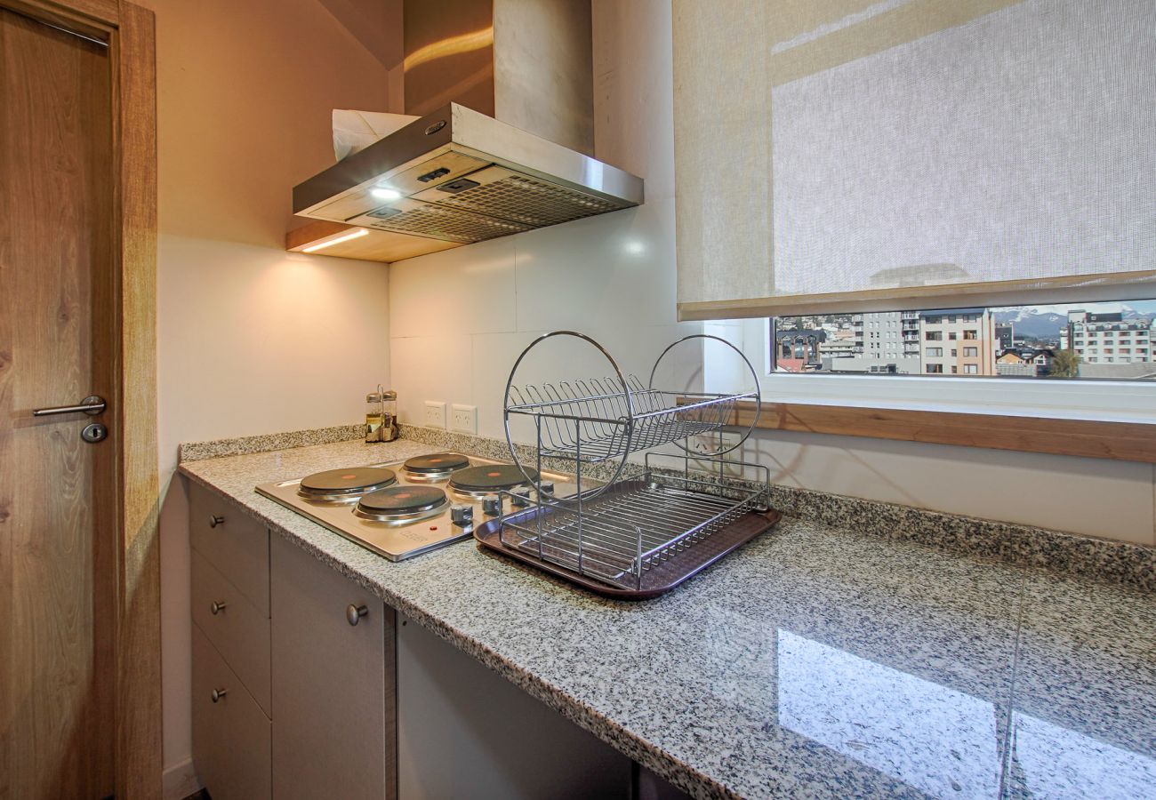 Apartamento en San Carlos de Bariloche - MONTAÑA departamento con vista al lago