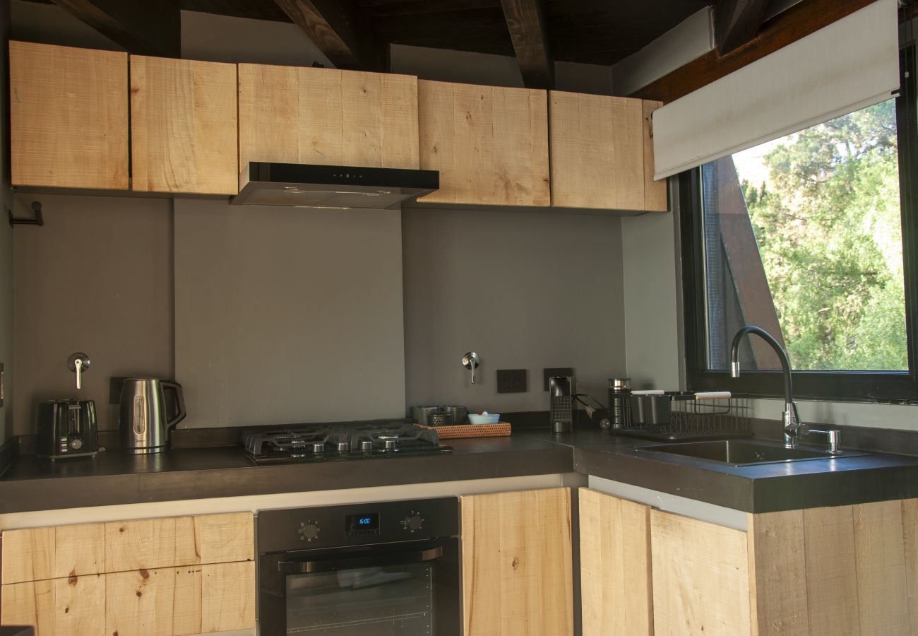 Apartamento en San Martin de los Andes - Haus del Arroyo 2B - Nórdica