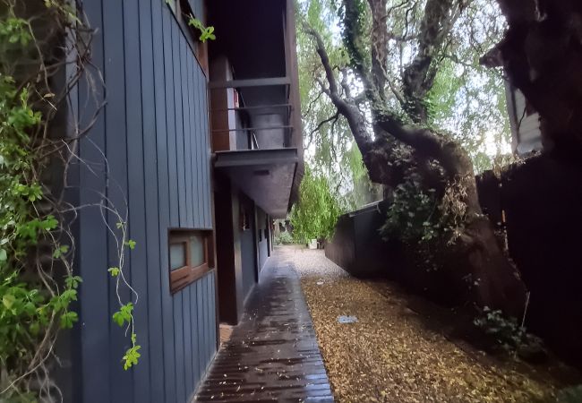 Estudio en San Martin de los Andes - Vivero I Dpto 2 - Andarlibre Estudio en San Martin de los Andes - Vivero I Dpto 2 - Andarlibre
