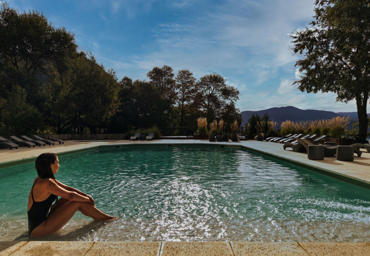 Cabaña en San Martin de los Andes - Paihuen - Apart 1 Dormitorio con vista al Bosque