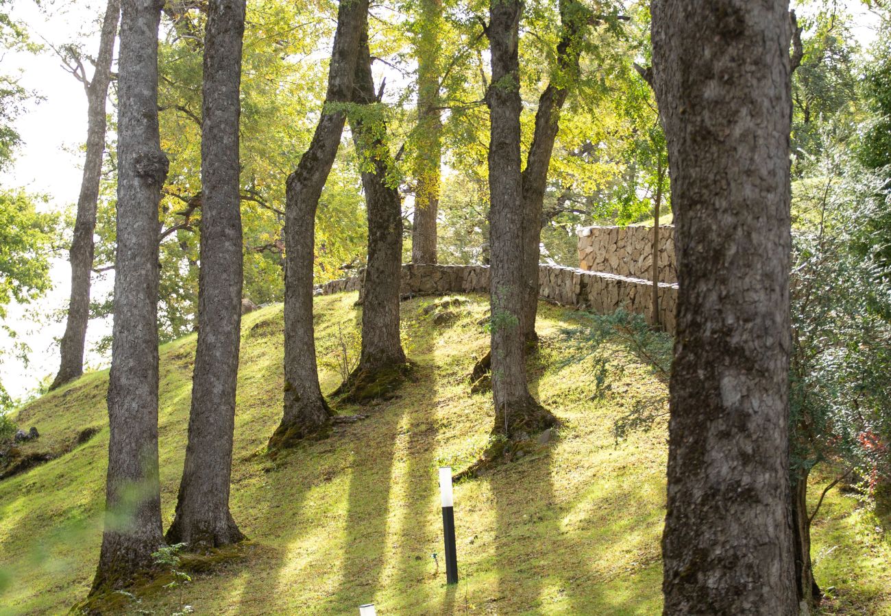 Cabaña en San Martin de los Andes - Paihuen - Apart 1 Dormitorio con vista al Bosque