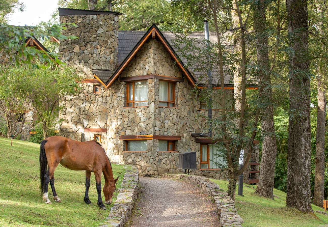 Cabaña en San Martin de los Andes - Paihuen - Apart 1 Dormitorio con vista al Bosque