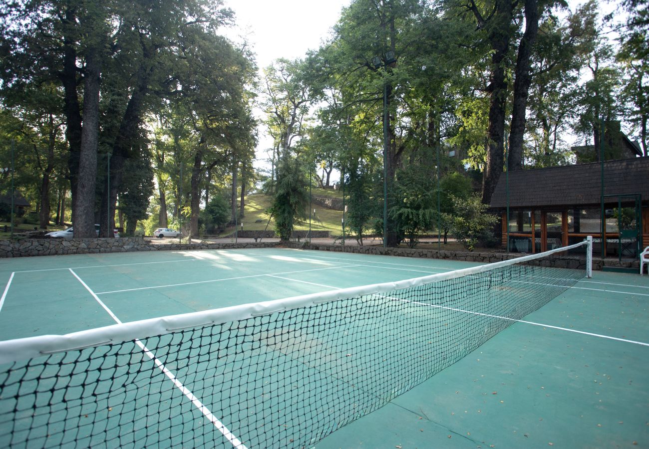 Cabaña en San Martin de los Andes - Paihuen - Apart 1 Dormitorio con vista al Bosque