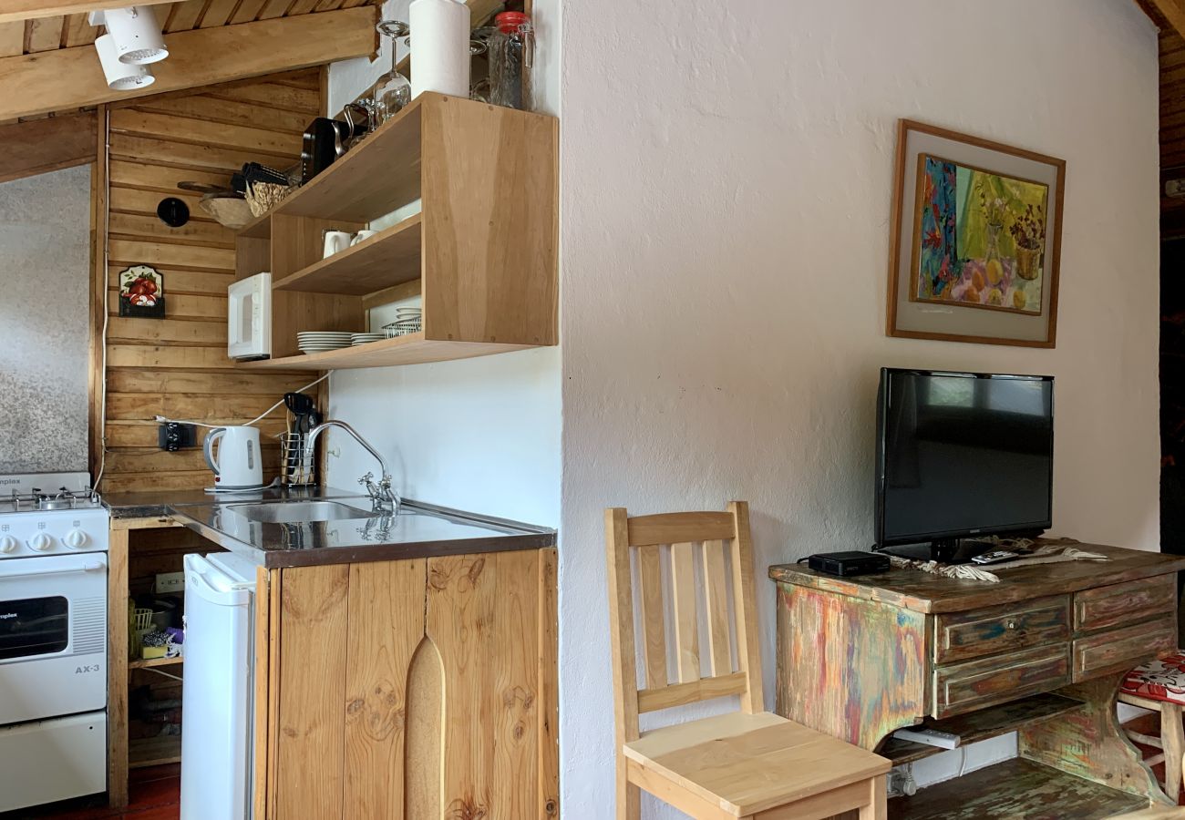 Apartamento en San Martin de los Andes - Casiopea - Andarlibre