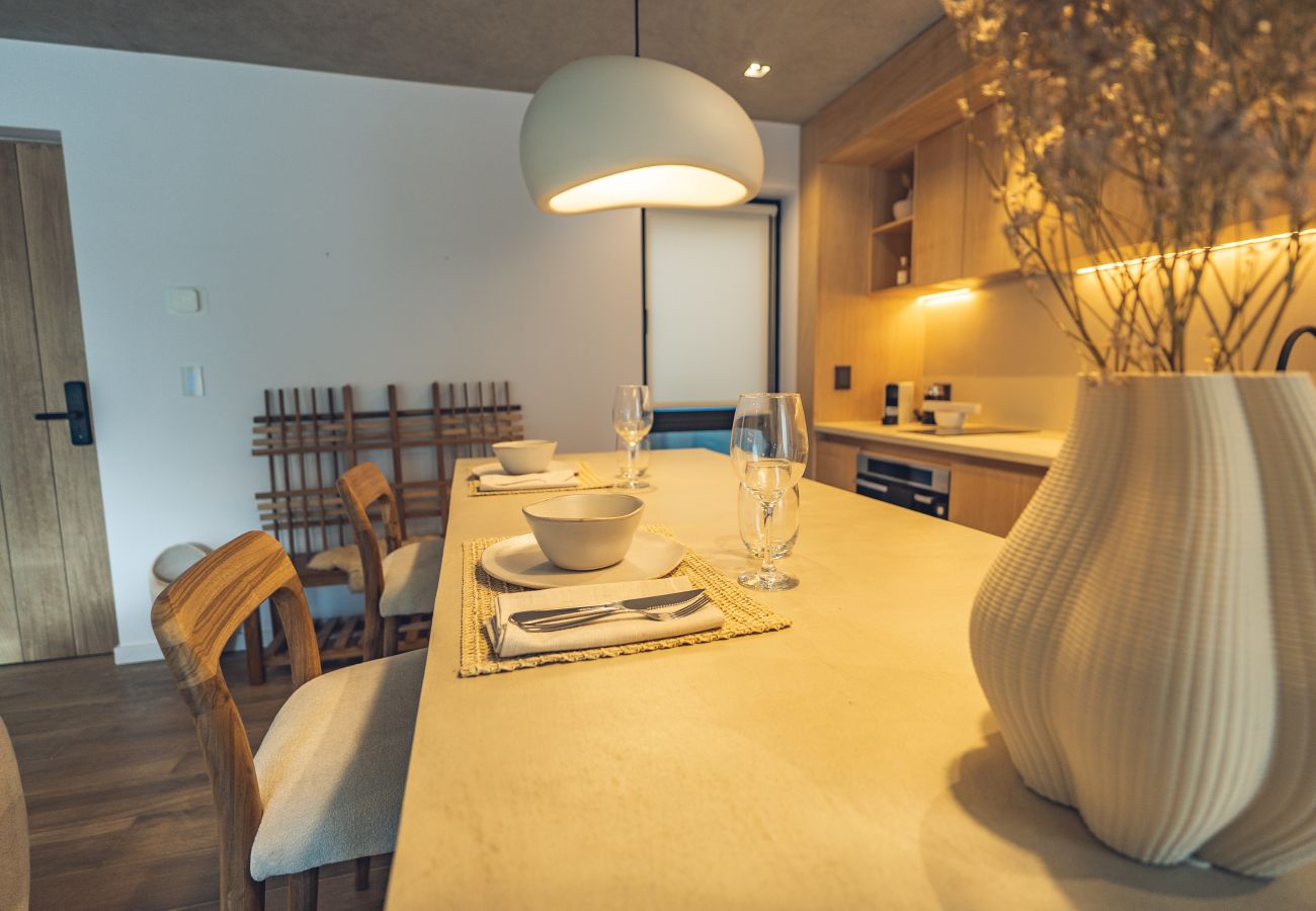 Apartamento en San Martin de los Andes - Haus Plaza 2C - Nórdica