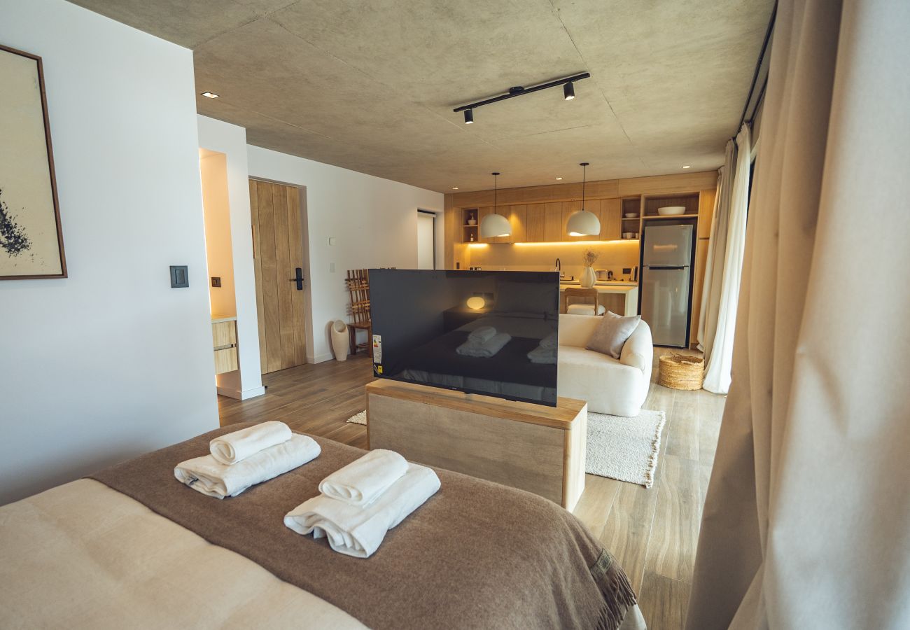 Apartamento en San Martin de los Andes - Haus Plaza 2C - Nórdica