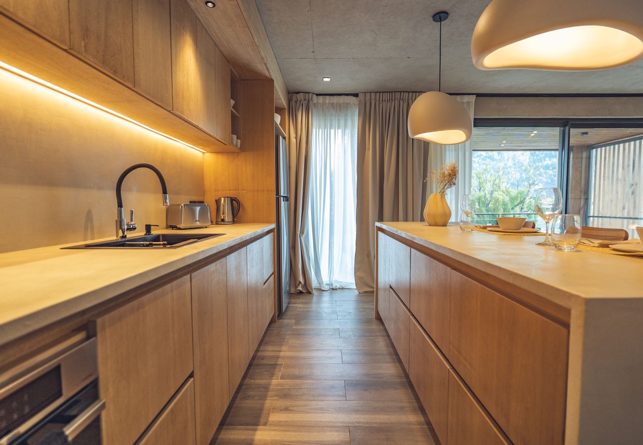 Apartamento en San Martin de los Andes - Haus Plaza 2C - Nórdica