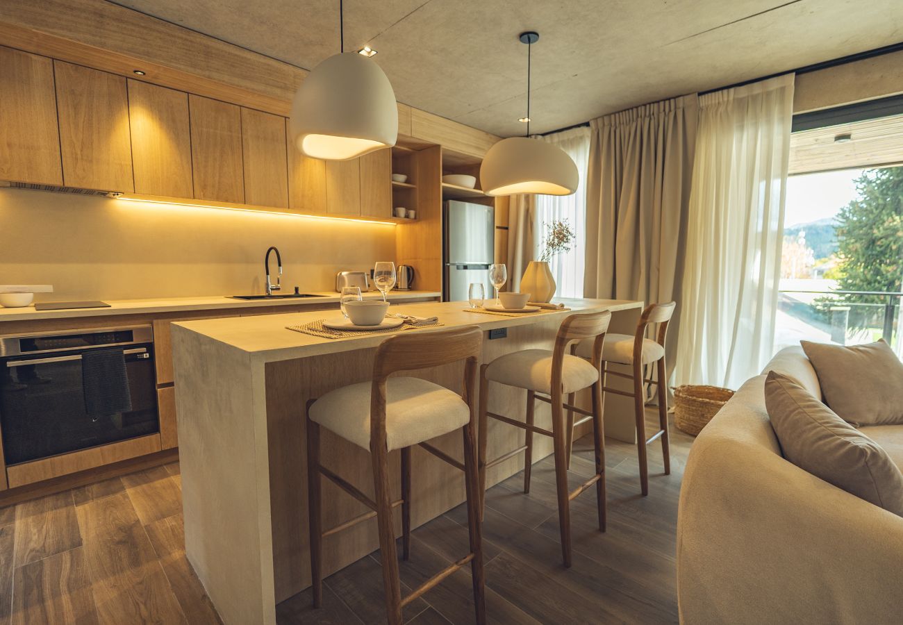 Apartamento en San Martin de los Andes - Haus Plaza 2C - Nórdica