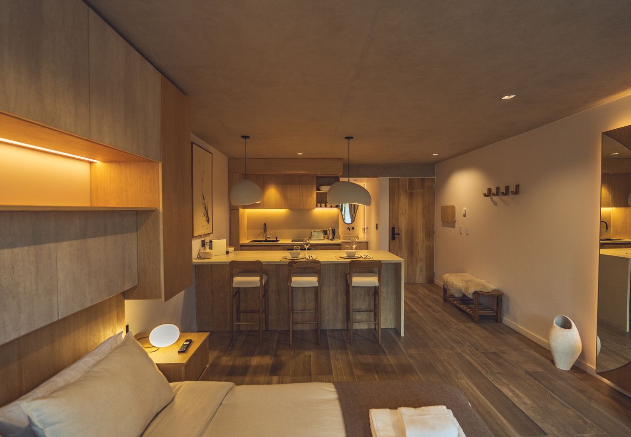 Apartamento en San Martin de los Andes - Haus Plaza 2A - Nórdica