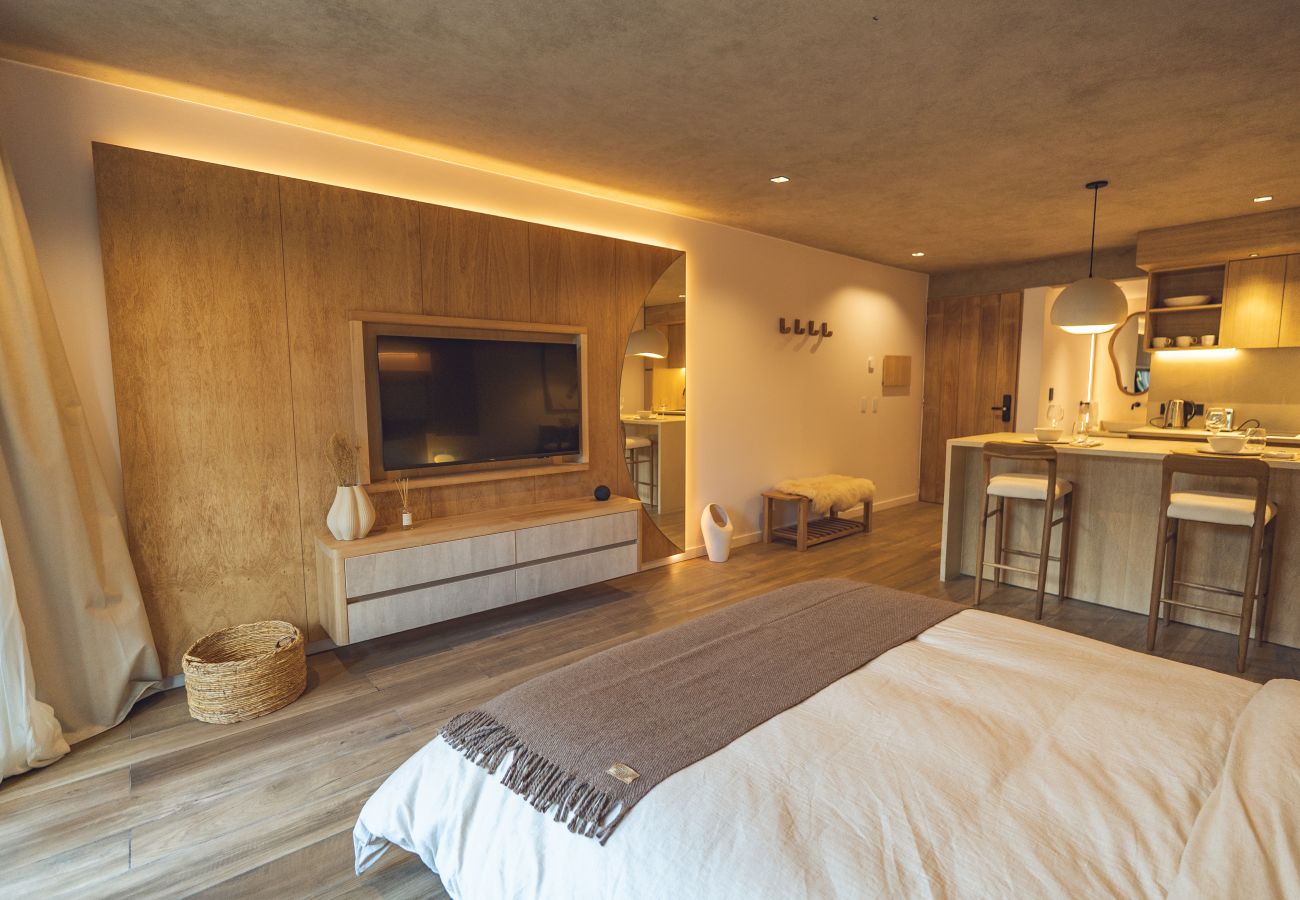Apartamento en San Martin de los Andes - Haus Plaza 2B - Nórdica