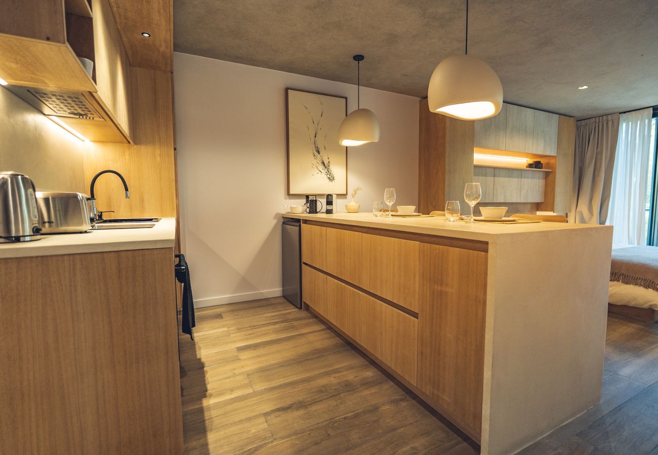 Apartamento en San Martin de los Andes - Haus Plaza 2B - Nórdica