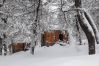 Bungalow en San Martin de los Andes - Las Pendientes - Las Julias 3 Andarlibre