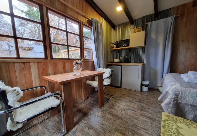 Estudio en San Martin de los Andes - Los Robles 3 - Andarlibre