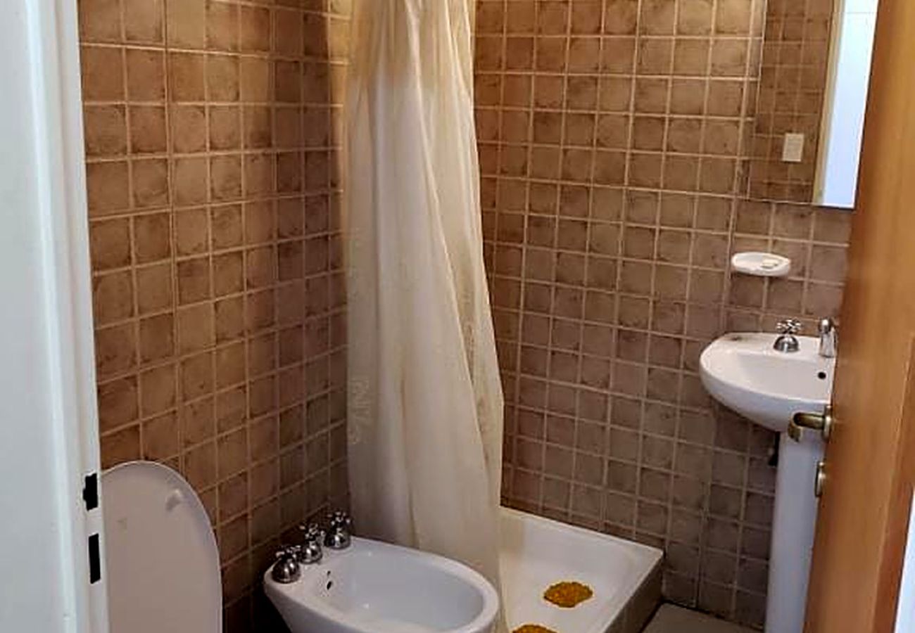 Estudio en San Martin de los Andes - Atrapasueños - Andarlibre