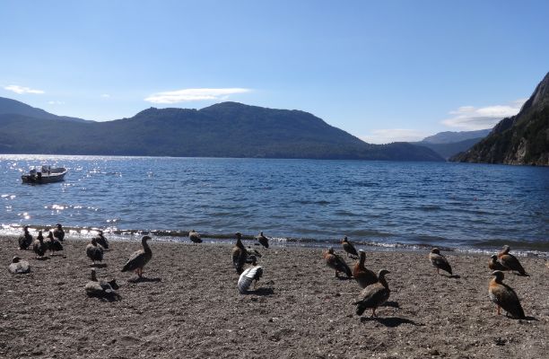 Quila Quina playas en San Martín de los Andes